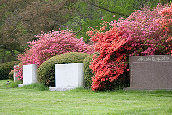 Boston, MA Burial Services