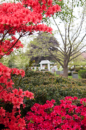 Contact Forest Hills Cemetery Today